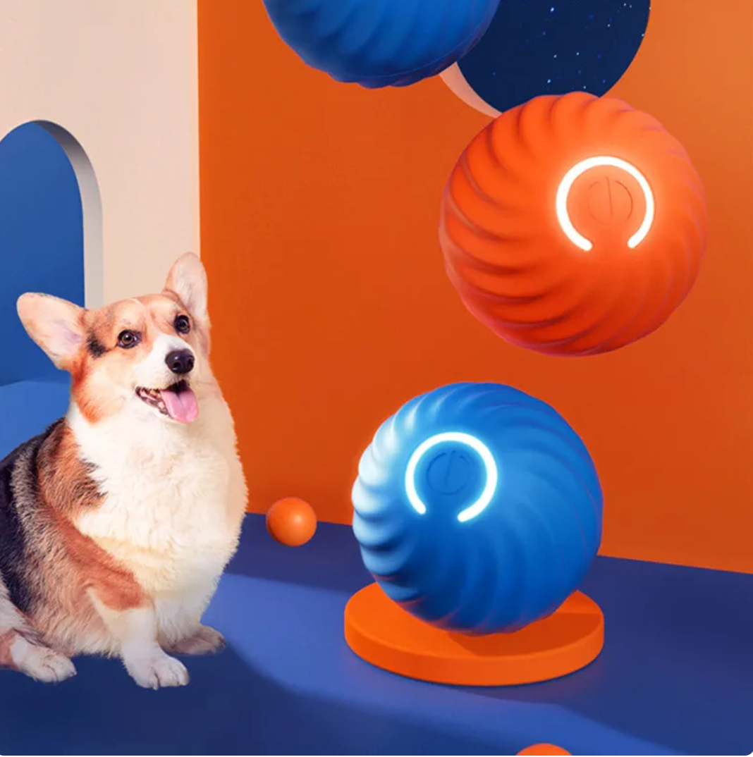 Robert Durable Rubber Ball Toy for Dogs