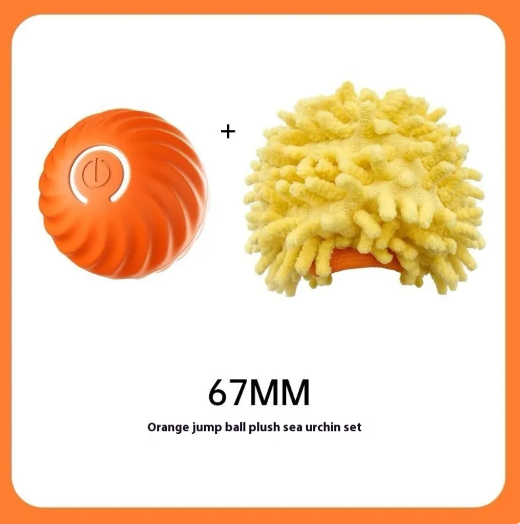 Robert Durable Rubber Ball Toy for Dogs