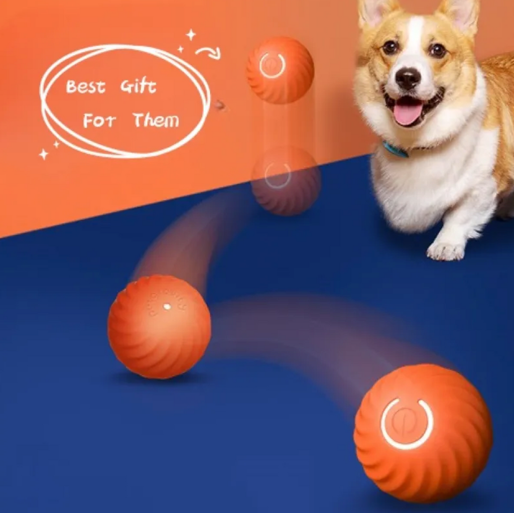 Robert Durable Rubber Ball Toy for Dogs