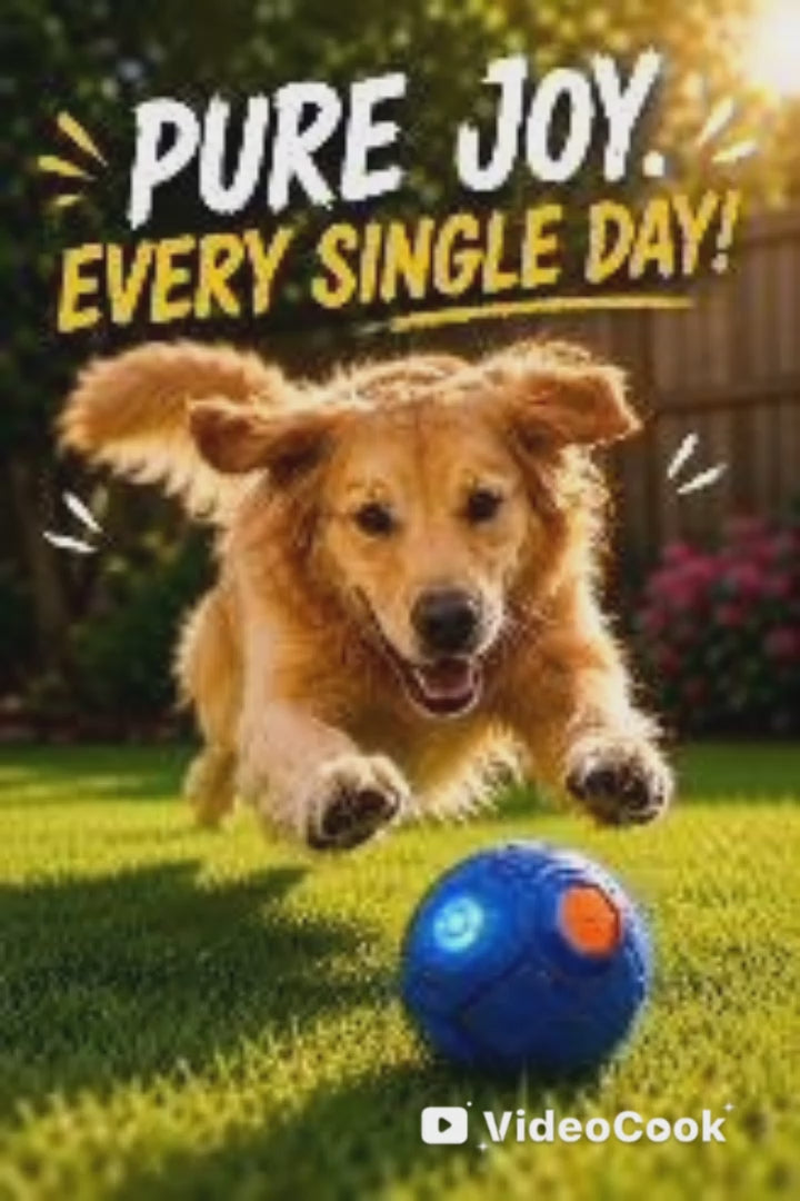 Endless Fun with FluffySphereUSA Ball 🐾